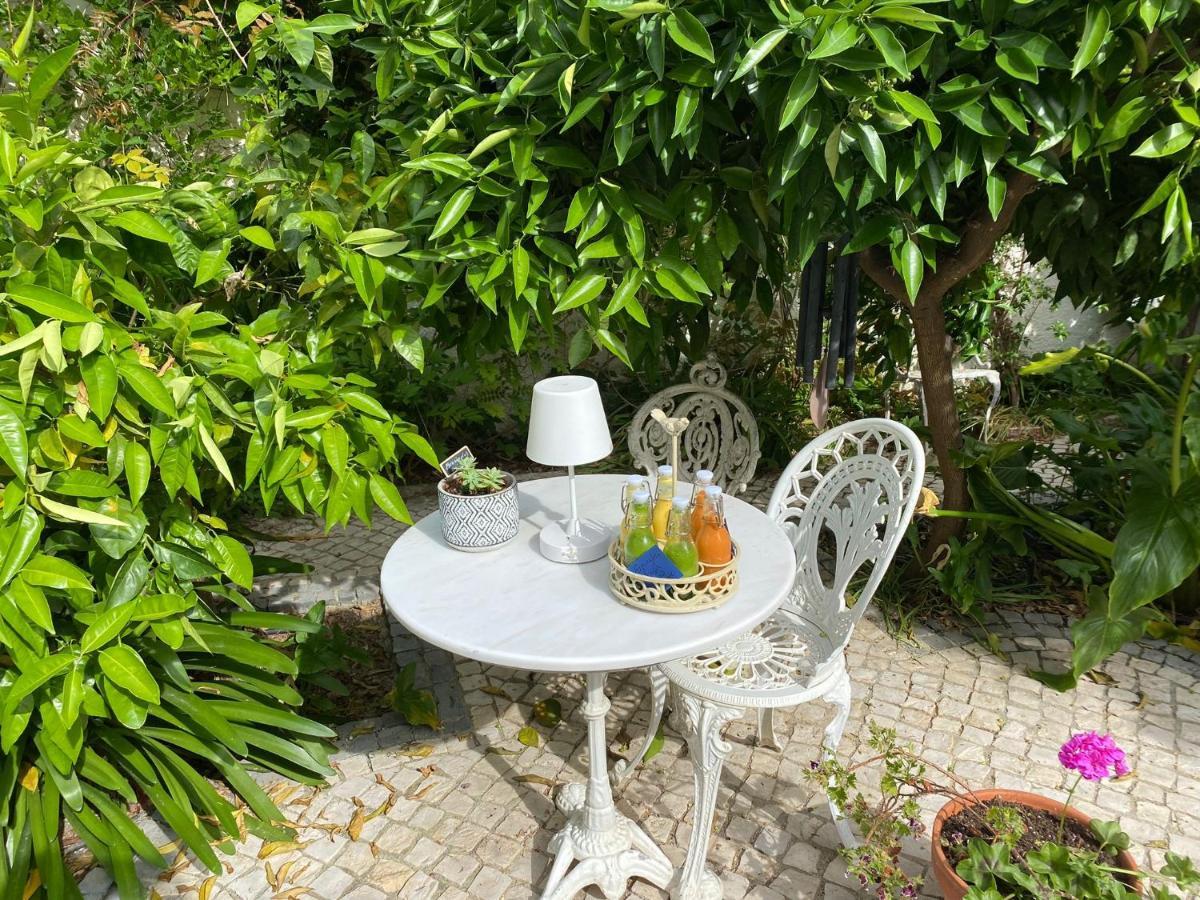 Palacete Encanto Maior Campo Maior Dış mekan fotoğraf